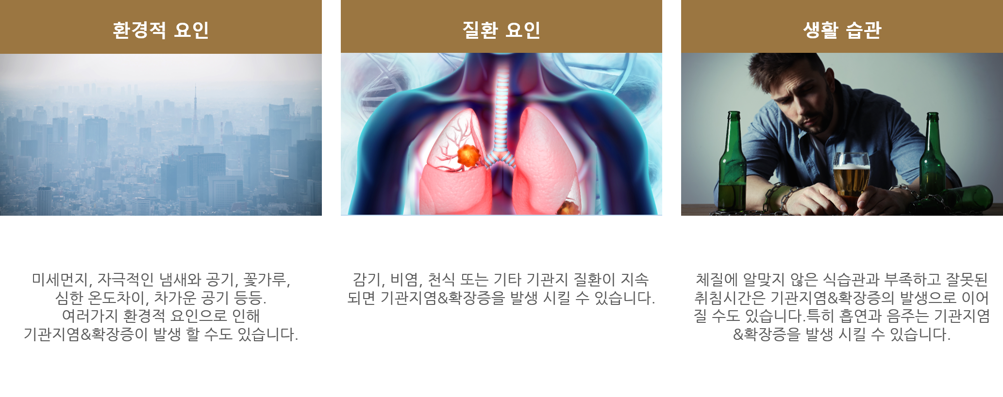 section-10-content-img