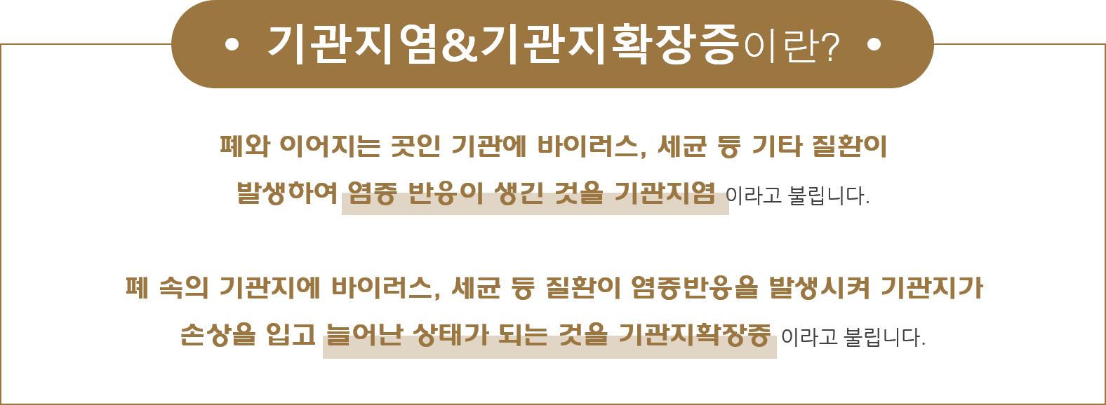 section-6-content-img