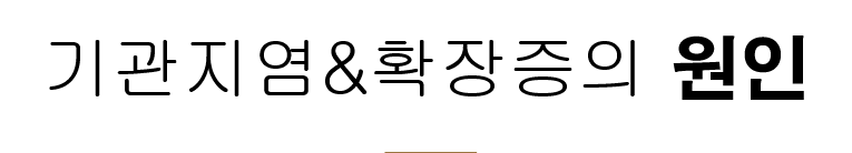 section-9-content-img