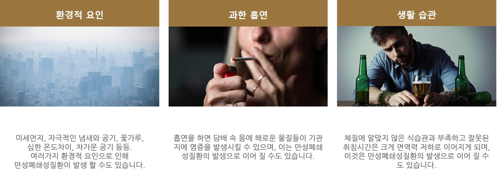 section-10-content-img