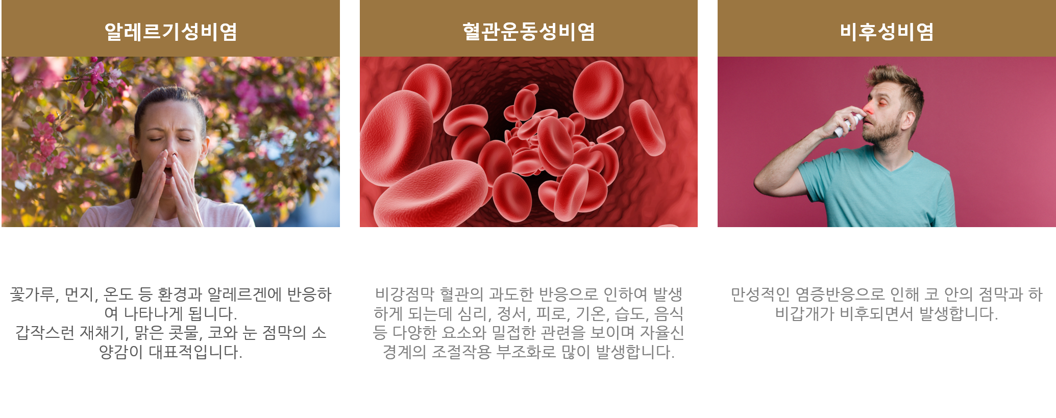 section-10-content-img