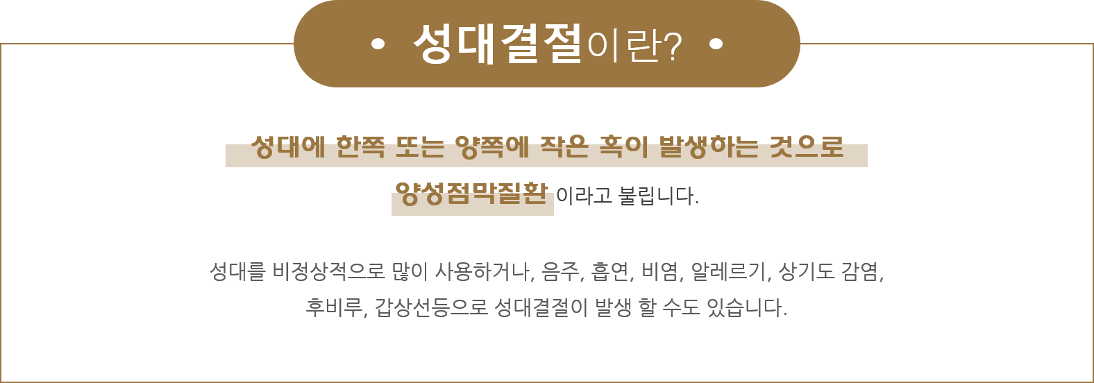 section-6-content-img