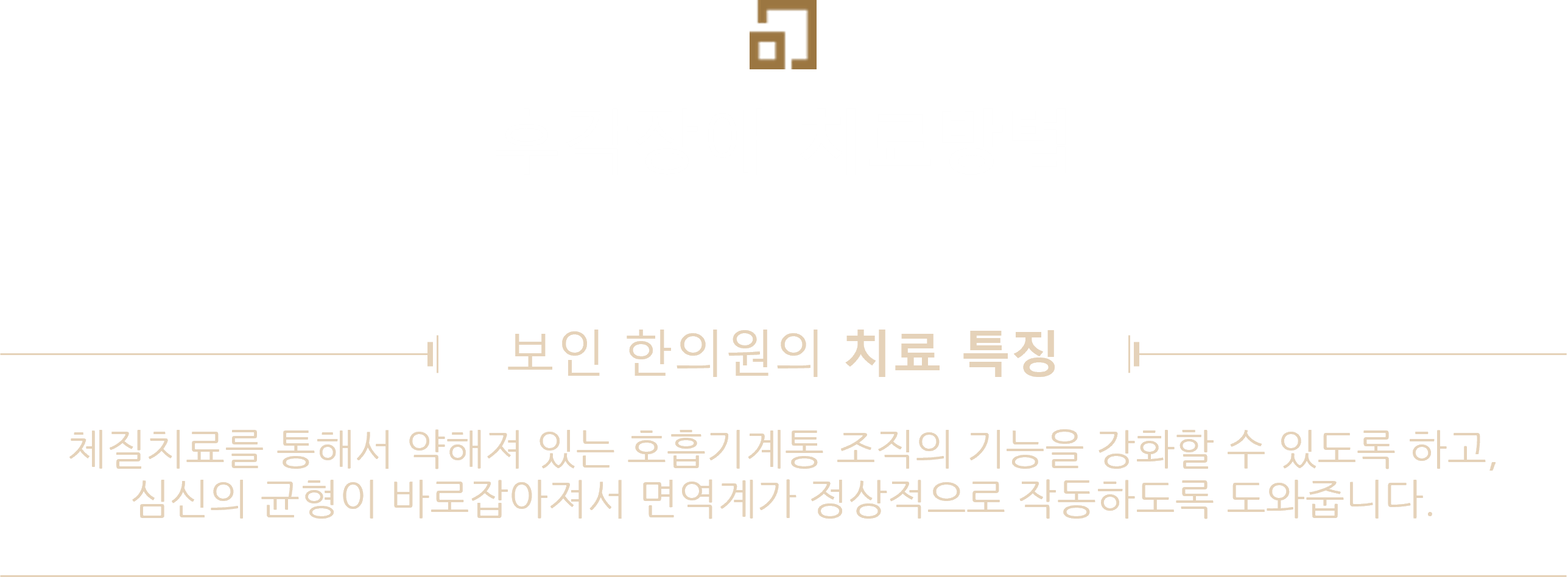 section-11-content-img